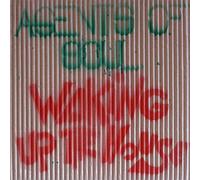 Agents Of Soul - Waking Up The House