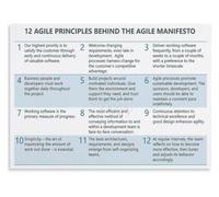 Agile Risk Management Principles Poster Adaptive Planning Visual Aid Wall-Art for Portfolio Planning Room Decor(Unframed,16x24inch(40x60cm))