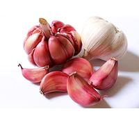 Aglio da Semina -Aglio Pregiato - IDEALE per la Semina e per il Consumo alimentare