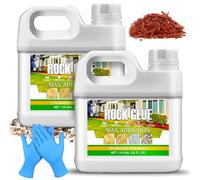 Aglutinante de Grava 2L - Pegamento para Piedras Jardín - Pegamento de Grava Concentrado Listo para Usar - Para Fijar Grava, Corteza, Piedras - Adhesivo de Resina con Aplicador para Caminos de Jardín