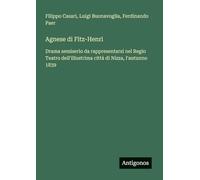 Agnese di Fitz-Henri: Drama semiserio da rappresentarsi nel Regio Teatro dell'illustrima città di Nizza, l'autunno 1839