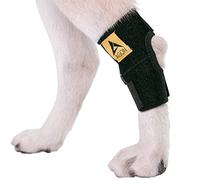 AGON® Envoltura de compresión para articulaciones de corvejón Trasero con Correas para Perro para Pierna Trasera, Protege heridas. Cura Evita Lesiones y esguinces, Ayuda con la pérdida de Estabilidad