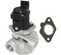 AGR Válvula de repuesto para C-R BERLINGO B9 C3 C4 C5 FIESTA V FOCUS PEUGEOT 206 307 308 5008 PARTNER 1.6 HDi Accesorios para Coche