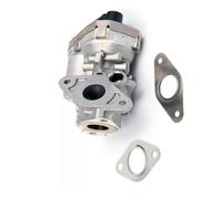 AGR-Ventil Para Ford Para Transit Para Tourneo 2006 2007 2008 2009 2010 2011 2012 2013 2014 Válvula EGR 1466340 1578156 88137 6C1Q9D475AF 1618.HQ 1618HQ. Válvula EGR