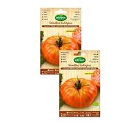 AGreen Semillas Ecológicas de Tomate Tres Cantos Gigante Rosa, Variedad Heirloom, Fruto 400-500 gr, Pack de 2 Sobres