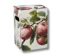 AGRI plus Bolsa en caja de cartón, 10-50 unidades, a elegir entre 3 y 5 l, diseño de manzana roja, caja para vino, zumo y mosto | bolsa de zumo (10, 5 litros)