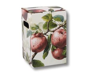 AGRI plus Bolsa en caja de cartón, 10-50 unidades, a elegir entre 3 y 5 l, diseño de manzana roja, caja para vino, zumo y mosto | bolsa de zumo (10, 5 litros)