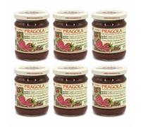 Agritur - Compota de Fresa Ecológica, Sin Azúcares Añadidos, solo Azúcares de la Fruta, Natural, Ideal para el Desayuno y la Merienda, Perfecta como Condimento para Postres, Pack de 6×210 g