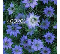 AGROBITS 400x mezcla de semillas Nigella persa ls Hardy Resee Anual fácil de cultivar