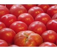 AGROBITS Alemán Johnson tomate See- Heirloom- 75 + 2018 $ 1,69 Max Spping/fin