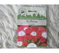 AGROBITS VER T & M flor de la verbena ST GEORGE SEED PVP 2,09 £