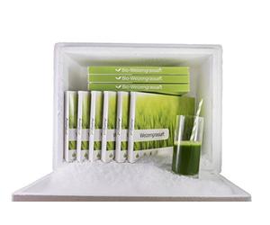 Agrosprouts Sproutscubes QUARTALSBOX - Zumo de hierba de trigo biológico congelado / de cultivo austriaco / Directo de la agricultura / AT BIO-301