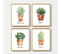 Agua Color Cocina Pared Arte De La Lona Poster Impresiones Decoracion OréGano Tomillo Romero Perejil Verde Planta Arte Pintura Cuadros Sin Marco 20×30cm×4pcs