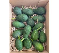 Aguacate Hass Pack 2 kg. Compra Aguacates Hass, Colheita Directa del Árbol