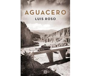 Aguacero (Inspector Trevejo 1) (La Trama)