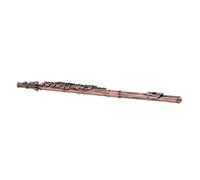 Agujero Cerrado C Flauta 16 Llaves Flauta, C Flauta Flauta Estudiantes de Flauta Dual Cojín de Bolsas de Gases C Flauta de Pie para Practicar la Grabación de Música (Antiguo