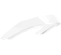 AGV Pista GP RR, Alerón male