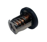 AGVDOPLM 17670-94J00 Termostato 60° for Motores fueraborda DF8A 9,9 15 20 25 30A 17670-94J00 17670-94J01 OMC 5036226