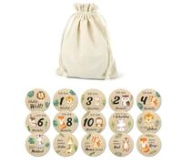 Agwuoetr 15 Tarjetas Mensuales Hermosas para BebéS: Discos Circulares de Madera con Hitos de Doble Cara y de Nacimiento para NiñAs y NiñOs
