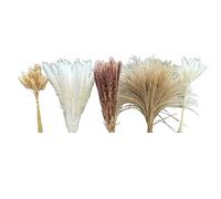 Agwuoetr 150 Piezas Pampas Grass Boho DecoracióN para el Hogar Flores Secas-Pampas Grass Contiene Conejito Pampa DecoracióN MarróN Pampa