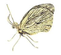 Agwuoetr Escultura de Mariposa Dorada, Figuritas de Animales de LatóN, Adorno de Escritorio de Metal para DecoracióN del Hogar, Oficina, Coche, Vintage Hecho A Mano