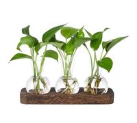 Agwuoetr Estaciones de Propagación de Plantas Estación de Jarrón de Vidrio Terrario de Plantas Retro con Bandeja de Madera Florero de Bulbo Decoración de Oficina en el Hogar