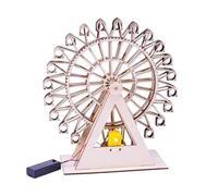 Agwuoetr Rueda Giratoria de Madera DIY para NiñOs de 8 A 12 AñOs -16 Kit de IngenieríA, Juguetes de ConstruccióN de Modelos Educativos de Bricolaje