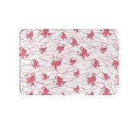 Ahdyr Alfombrillas Flamingo para Interior y Exterior Las Alfombrillas de Entrada Son EasyHome.