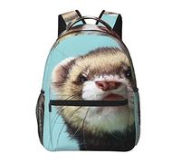 Ahdyr Ferret Sky Blue Art Mochilas Bolso de hombro antirrobo multiusos ligero Mochila de gran capacidad para viajar y acampar con bolsillos laterales