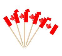 AhfuLife Palillos con Banderas de Canadá, 100 Piezas Banderas de Palillos de Dientes de Canadá para Decoraciones de Eurocopa, Cóctel, Sándwiches, Pastelería, Pastel, Frutas, Fiesta, Cupcakes