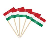 AhfuLife Palillos con Banderas de Hungría, 100 Piezas Banderas de Palillos de Dientes de Hungría para Decoraciones de Eurocopa, Cóctel, Sándwiches, Pastelería, Pastel, Frutas, Fiesta, Cupcakes