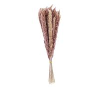 Ahgsup Ramo de Flores Secas con Tallo, 1 Pieza de Mini Flor Seca de Caña para Arreglos Florales en Florero, Decoración Rústica del Hogar, Bodas y Regalo Natural de Larga Duración