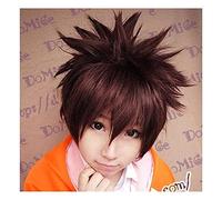 AHJSN Se aplica a Katekyo Hitman Reborn Sawada Tsunayoshi Short Brown Mix Fluffy Synthetic Hair Cosplay Wig + Wig Cap
