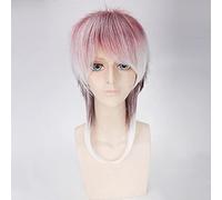 AHJSN Se aplica a pelucas de pelo corto degradado Lolita Party Sintético Hair Vogue Sexy Male Cosplay Anime Pelucas + Free Wig Cap