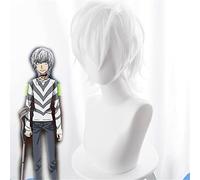 AHJSN Se aplica a Toaru Majutsu No Index Accelerator Cosplay Wig Man Boys 30 cm Blanco Corto Recto Pelo Artificial Resistente al Calor Anime Pelucas