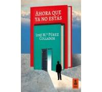 Ahora Que Ya No Estás: 19 (Kailas Ficción)