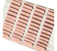 AHRLIC Pestañas de la Biblia para mujeres, suministros de diario bíblico de estudio, impresión grande, 96 pestañas laminadas para el Antiguo y Nuevo Testamento, rosa con letras de lámina dorada, 1.5 x