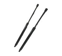 AHRPKAMERD Pistón Gas Maletero 2 uds para Ecosport Todo para Motores para SUV 2013-2021 CN15N400A12AB puntal de Puerta Trasera de Coche puntal de Maletero de Maletero 1793246 Muelle De Gas Maletero