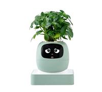 AI Flowerpot Guide - Smart Plant Pot for Home | Small Cactus Pot with Stylish Build, Indoor Apartment Office Living Room Bedroom Balcony Patio Decor, Beginners Birthday Valentine Gift