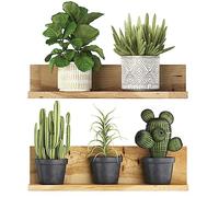 AIBAOBAO Pegatinas de Pared de Plantas Verde 3D, Graz Design,Etiqueta de Pared de BonsáI de PVC ExtraíBle, Adesivo Murale Tartarughe Marine - Sotto Il Mare con Corallo e Alghe (31 * 25CM)