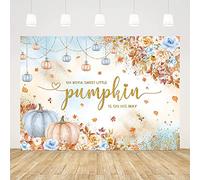 AIBIIN Telón de fondo para baby shower de 7 x 5 pies Oh Boy A Sweet Little Pumpkin is On His Way para niño, calabazas rosas y azules, flores, decoración de pancarta de fotografía