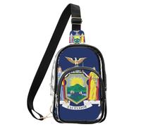 aidingzhi Banderín transparente con la bandera de Rusia de la Federación Nacional de Rusia, azul y rojo para mujer, bolso de mano transparente de PVC impermeable, New York New Yorker Ny Flag Azul