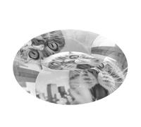 aidingzhi The Empire State Building Cat Selfie - Cama para gatos y gatos, alivia el estrés, cama cueva para perros de tamaño extra pequeño, suministros S