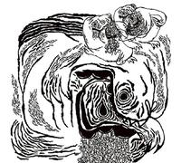 AIDS Wolf Clash Of The Life Force Warriors (Vinyl)