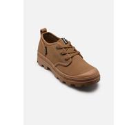Aigle Tenere Cvs Low 41 Marrón