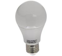 Aigostar 177867 - Bombilla LED A60 de 12 W, rosca grande y luz fría