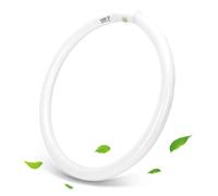 Aigostar - T9 Tubo de luz de anillo G10q, Ahorro de energía, 22w/32w/40w, luz fria 6500k, 220-240V