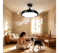 Aigostar Ventilador de Techo con Luces y Aspas Retráctiles, Negro