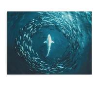 AIHNBF Majestuoso tiburón blanco en el enjambre de peces naturaleza subacuática mural moderno océano impresión artística animal salvaje decoración para salón, oficina y pasillo 30 x 45 cm