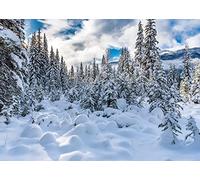 AIIKES 12-349 - Fondo de Invierno (2,4 x 1,8 m), diseño de Copo de Nieve, decoración navideña, Paisaje de Paisaje, para niños, 12-349